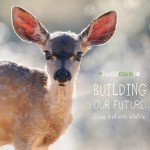 WildCare: Building Our Future Capital Campaign Brochure