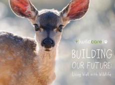WildCare: Building Our Future Capital Campaign Brochure